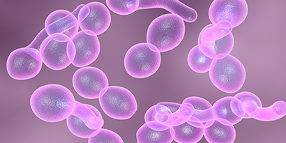 Bioburden Filtration for Bioprocessing
