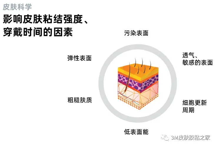 皮肤科学：影响皮肤黏结强度、穿戴时间的因素