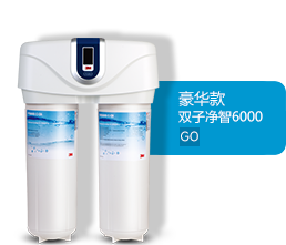 双子净智净水器 DWS 6000T-CN