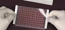 使用透皮给药装置的患者