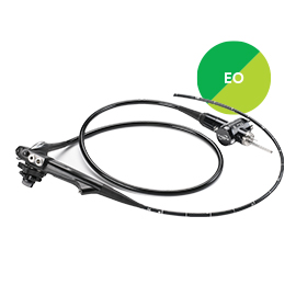 Flexible Endoscope