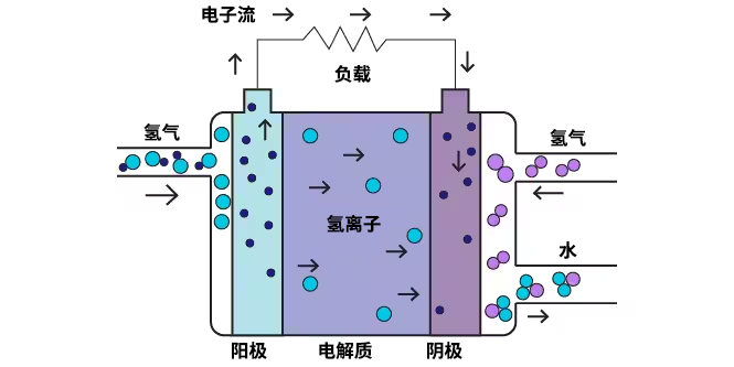 ﻿PEM燃料电池功能示意图。
