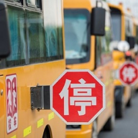 School bus stop sign with conspicuity