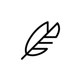 Feather icon