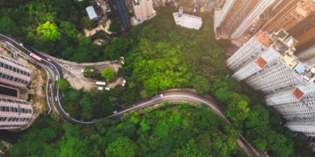 俯视图:在城市环境中，蜿蜒的街道两旁有树林。
