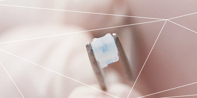 3M APC Flash-Free Bonding Protocol icon
