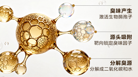 直击源头 根源分解